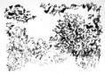 /album/monet-parafrazisok-monet-paraphrases/dscn0505b-2-jpg/
